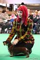 Crufts2011_2 1631